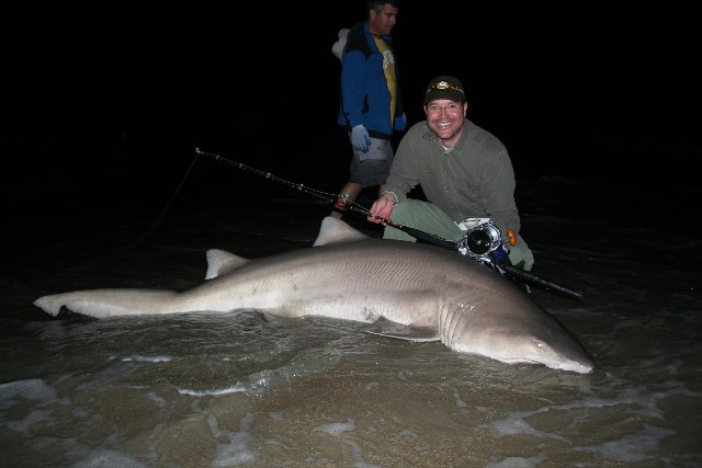 MONSTER SHARK Fishing: Outer Banks, North Carolina Shark Landed on Beach &  HOW TO 