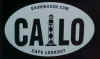 calo.JPG (16700 bytes)